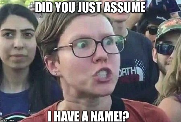 Triggered Liberal | DID YOU JUST ASSUME; I HAVE A NAME!? | image tagged in triggered liberal | made w/ Imgflip meme maker