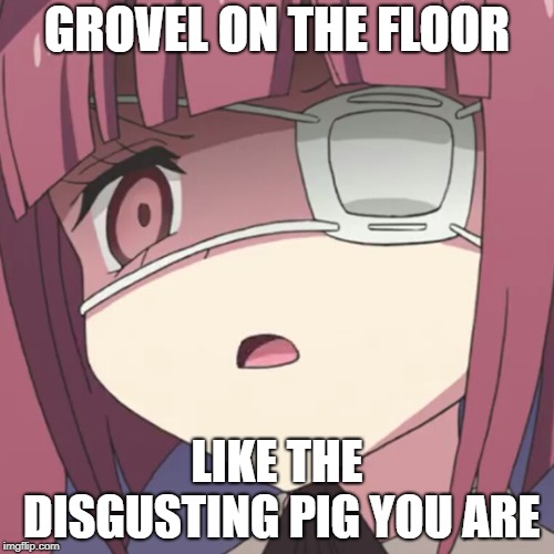 Every Masochist's dream | GROVEL ON THE FLOOR; LIKE THE DISGUSTING PIG YOU ARE | image tagged in memes,jashin-chan dropkick,anime | made w/ Imgflip meme maker
