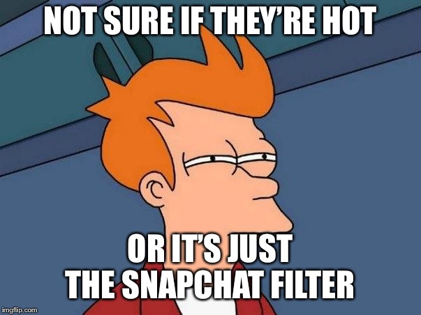 Not sure if- fry | NOT SURE IF THEY’RE HOT; OR IT’S JUST THE SNAPCHAT FILTER | image tagged in not sure if- fry | made w/ Imgflip meme maker