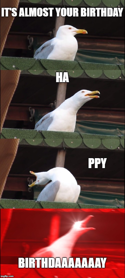 Happy Birthday | IT'S ALMOST YOUR BIRTHDAY; HA; PPY; BIRTHDAAAAAAAY | image tagged in memes,inhaling seagull | made w/ Imgflip meme maker