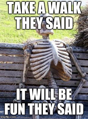 Waiting Skeleton Meme | TAKE A WALK THEY SAID; IT WILL BE FUN THEY SAID | image tagged in memes,waiting skeleton | made w/ Imgflip meme maker