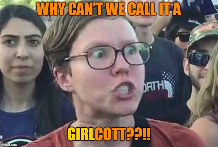 Triggered Liberal | WHY CAN'T WE CALL IT A GIRLCOTT??!! GIRL | image tagged in triggered liberal | made w/ Imgflip meme maker