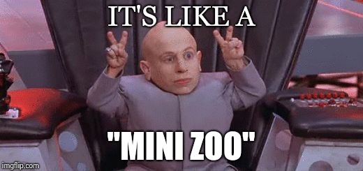 Mini Me Air Quotes | IT'S LIKE A "MINI ZOO" | image tagged in mini me air quotes | made w/ Imgflip meme maker