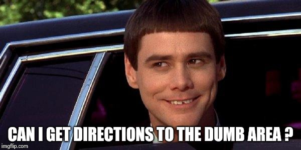 dumb and dumber | CAN I GET DIRECTIONS TO THE DUMB AREA ? | image tagged in dumb and dumber | made w/ Imgflip meme maker