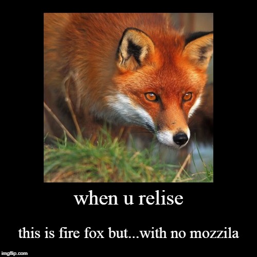 firefox pun | image tagged in funny,demotivationals,firefox,mozzila,mozzila firefox,trash puns | made w/ Imgflip demotivational maker