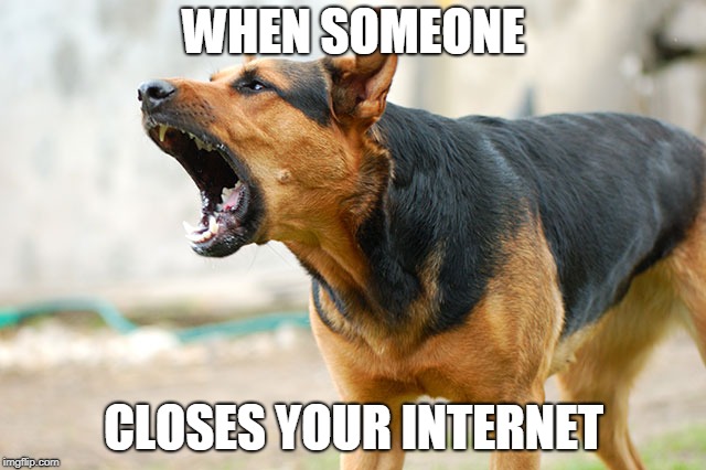 internet for life | WHEN SOMEONE; CLOSES YOUR INTERNET | image tagged in internet,wifi for life,dog puns,dude chill | made w/ Imgflip meme maker