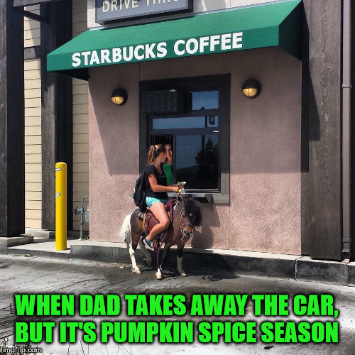 WHEN DAD TAKES AWAY THE CAR, BUT IT'S PUMPKIN SPICE SEASON | image tagged in lilsebastian | made w/ Imgflip meme maker