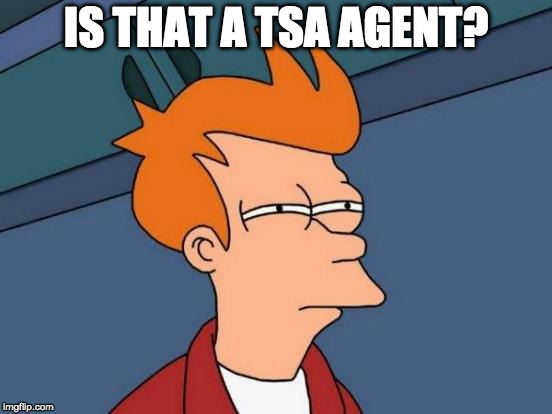 Futurama Fry Meme | IS THAT A TSA AGENT? | image tagged in memes,futurama fry | made w/ Imgflip meme maker