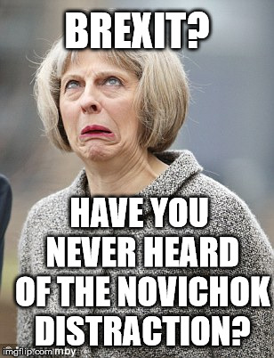 Theresa May | BREXIT? HAVE YOU NEVER HEARD OF THE NOVICHOK DISTRACTION? | image tagged in theresa may | made w/ Imgflip meme maker