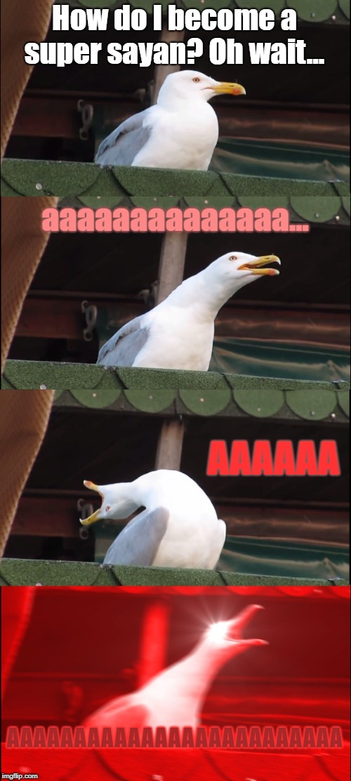 Inhaling Seagull | How do I become a super sayan? Oh wait... aaaaaaaaaaaaaa... AAAAAA; AAAAAAAAAAAAAAAAAAAAAAAAA | image tagged in memes,inhaling seagull | made w/ Imgflip meme maker