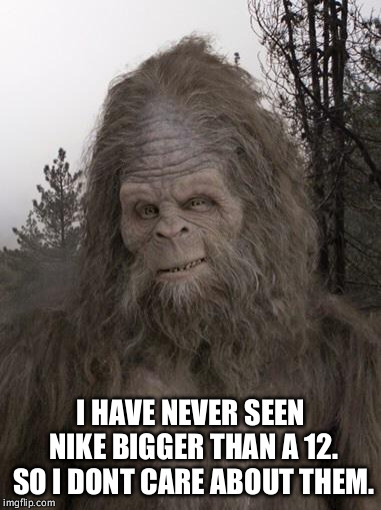 Sasquatch | I HAVE NEVER SEEN NIKE BIGGER THAN A 12. SO I DONT CARE ABOUT THEM. | image tagged in sasquatch | made w/ Imgflip meme maker