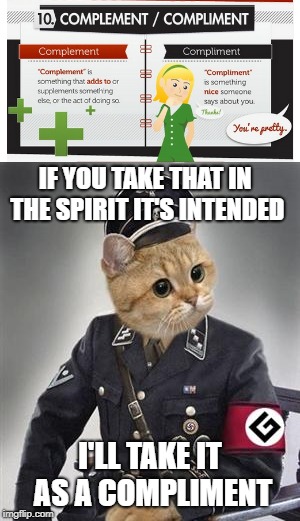 IF YOU TAKE THAT IN THE SPIRIT IT'S INTENDED I'LL TAKE IT AS A COMPLIMENT | made w/ Imgflip meme maker