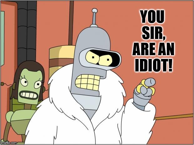 You sir, are an idiot! | YOU SIR, ARE AN IDIOT! | image tagged in memes,bender,you are an idiot,makes me angry,mad robot | made w/ Imgflip meme maker