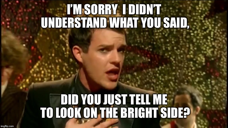 I’M SORRY  I DIDN’T UNDERSTAND WHAT YOU SAID, DID YOU JUST TELL ME TO LOOK ON THE BRIGHT SIDE? | image tagged in the killers | made w/ Imgflip meme maker