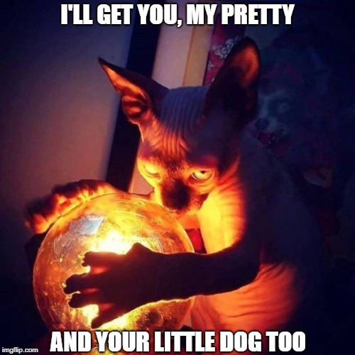 Wicked Cat of the West | I'LL GET YOU, MY PRETTY; AND YOUR LITTLE DOG TOO | image tagged in memes | made w/ Imgflip meme maker