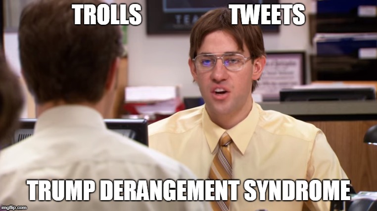 The Office Jim as Dwight | TROLLS                    TWEETS; TRUMP DERANGEMENT SYNDROME | image tagged in the office | made w/ Imgflip meme maker