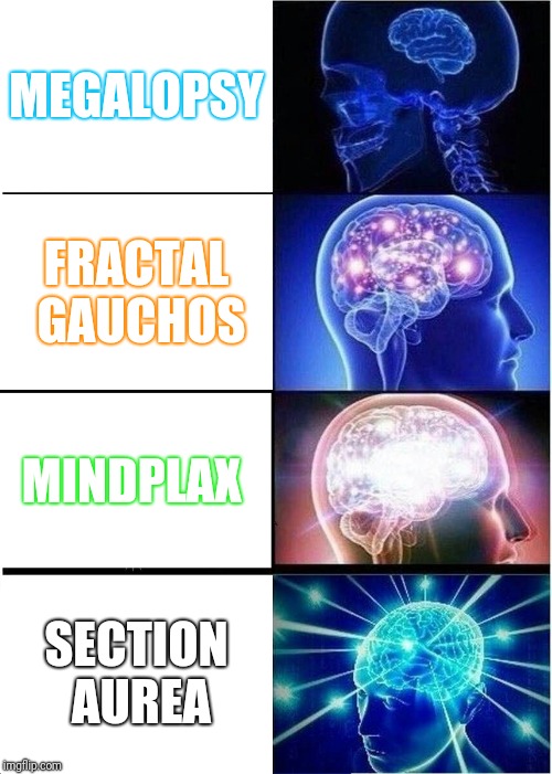 Expanding Brain | MEGALOPSY; FRACTAL GAUCHOS; MINDPLAX; SECTION AUREA | image tagged in memes,expanding brain | made w/ Imgflip meme maker