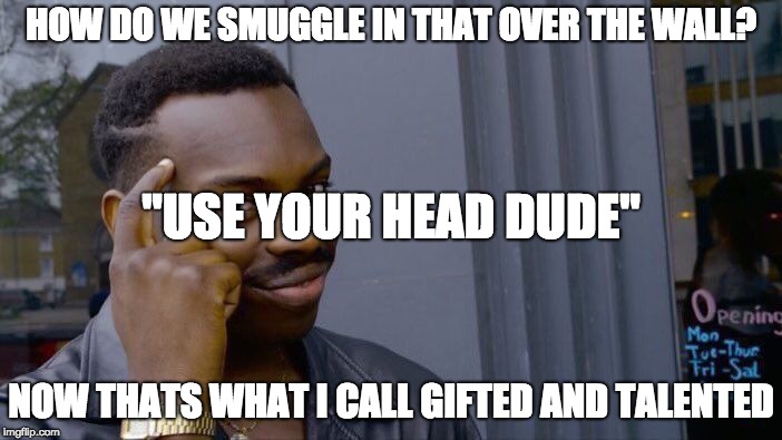 Roll Safe Think About It Meme | HOW DO WE SMUGGLE IN THAT OVER THE WALL? ''USE YOUR HEAD DUDE''; NOW THATS WHAT I CALL GIFTED AND TALENTED | image tagged in memes,roll safe think about it | made w/ Imgflip meme maker