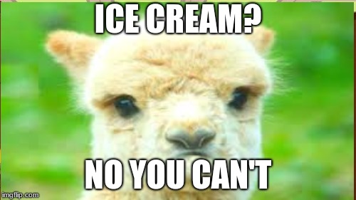 ICE CREAM? NO YOU CAN'T | made w/ Imgflip meme maker