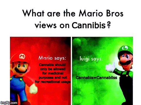 Cannibis; Cannabis should only be allowed for medicinal purposes and not for recreational usage; Cannabis=Cannabliss | image tagged in mario,luigi | made w/ Imgflip meme maker