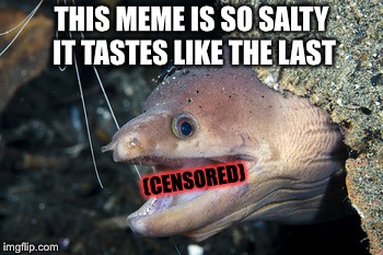 Happy Eel | THIS MEME IS SO SALTY IT TASTES LIKE THE LAST (CENSORED) | image tagged in happy eel | made w/ Imgflip meme maker