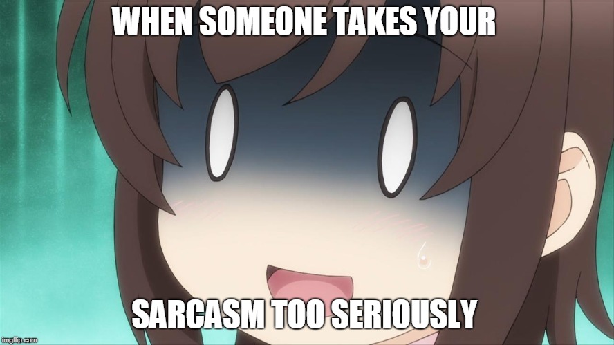 Shocked Anime girl  | WHEN SOMEONE TAKES YOUR; SARCASM TOO SERIOUSLY | image tagged in shocked anime girl | made w/ Imgflip meme maker