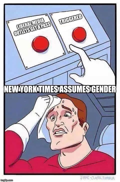 decisions | TRIGGERED; LIBERAL MEDIA OUTLETS GET A PASS; NEW YORK TIMES ASSUMES GENDER | image tagged in decisions | made w/ Imgflip meme maker