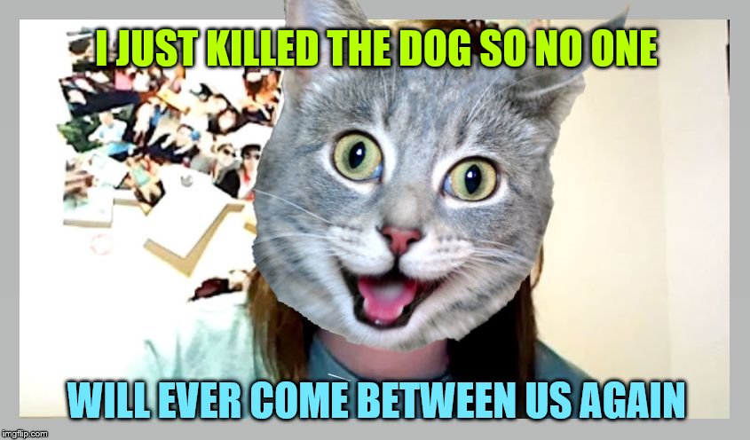 Overly Attached Cat | I JUST KILLED THE DOG SO NO ONE; WILL EVER COME BETWEEN US AGAIN | image tagged in overly attached cat,cats,overly attached girlfriend | made w/ Imgflip meme maker