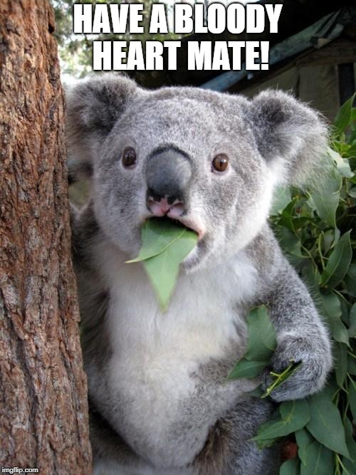 Surprised Koala Meme | HAVE A BLOODY HEART MATE! | image tagged in memes,surprised koala | made w/ Imgflip meme maker