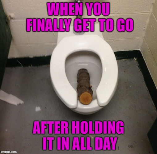 Nothing quite like dropping a healthy deuce!!! | WHEN YOU FINALLY GET TO GO; AFTER HOLDING IT IN ALL DAY | image tagged in log in toilet,memes,taking a dump,funny,holding it in,relief | made w/ Imgflip meme maker