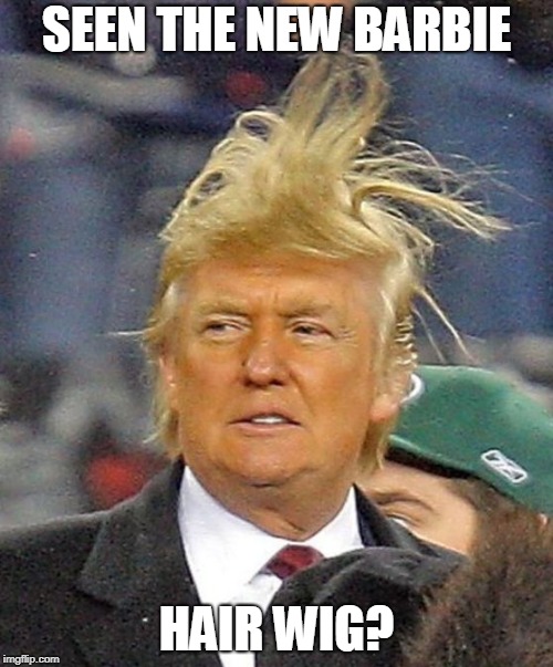 Donald Trumph hair | SEEN THE NEW BARBIE; HAIR WIG? | image tagged in donald trumph hair | made w/ Imgflip meme maker
