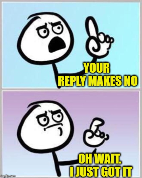 Wait what? | YOUR REPLY MAKES NO OH WAIT. I JUST GOT IT | image tagged in wait what | made w/ Imgflip meme maker
