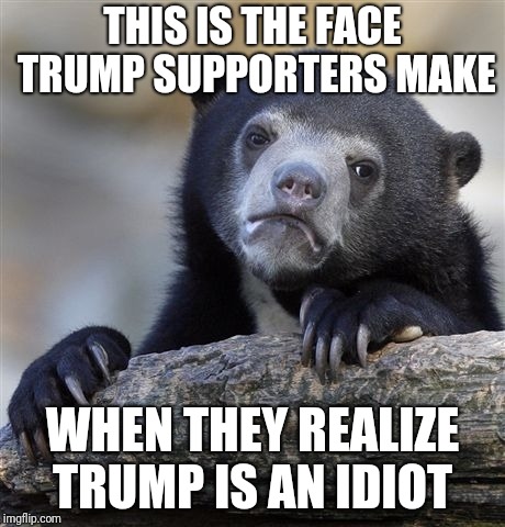 Confession Bear | THIS IS THE FACE TRUMP SUPPORTERS MAKE; WHEN THEY REALIZE TRUMP IS AN IDIOT | image tagged in memes,confession bear | made w/ Imgflip meme maker