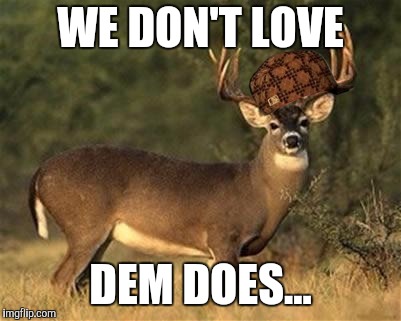 Big Buck | WE DON'T LOVE; DEM DOES... | image tagged in big buck,scumbag | made w/ Imgflip meme maker