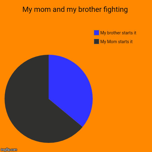 My mom and my brother fighting | My Mom starts it, My brother starts it | image tagged in funny,pie charts | made w/ Imgflip chart maker