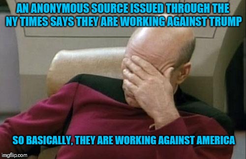 Captain Picard Facepalm | AN ANONYMOUS SOURCE ISSUED THROUGH THE NY TIMES SAYS THEY ARE WORKING AGAINST TRUMP; SO BASICALLY, THEY ARE WORKING AGAINST AMERICA | image tagged in memes,captain picard facepalm | made w/ Imgflip meme maker