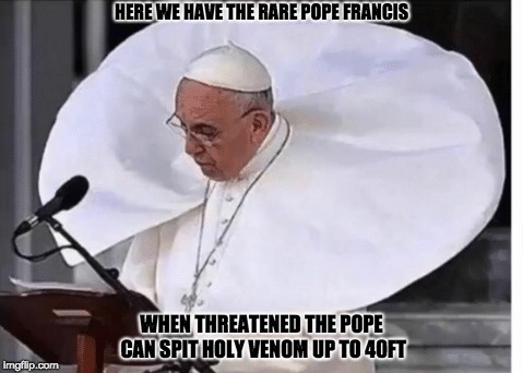 The pope is back | HERE WE HAVE THE RARE POPE FRANCIS; WHEN THREATENED THE POPE CAN SPIT HOLY VENOM UP TO 40FT | image tagged in snakes,pope,pope franicis,holy,venom,holy vemon | made w/ Imgflip meme maker