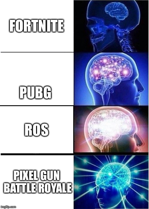 Expanding Brain | FORTNITE; PUBG; ROS; PIXEL GUN BATTLE ROYALE | image tagged in memes,expanding brain | made w/ Imgflip meme maker