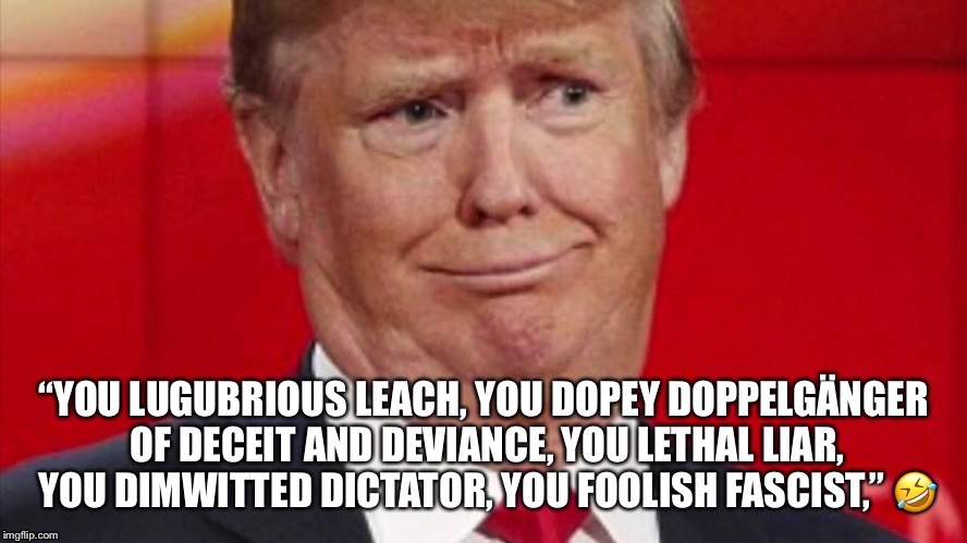 Donald Trump  | image tagged in donald trump,lugubrious leach,dopey doppelgnge,lethal liar,dimwitted dictator,foolish fascist | made w/ Imgflip meme maker