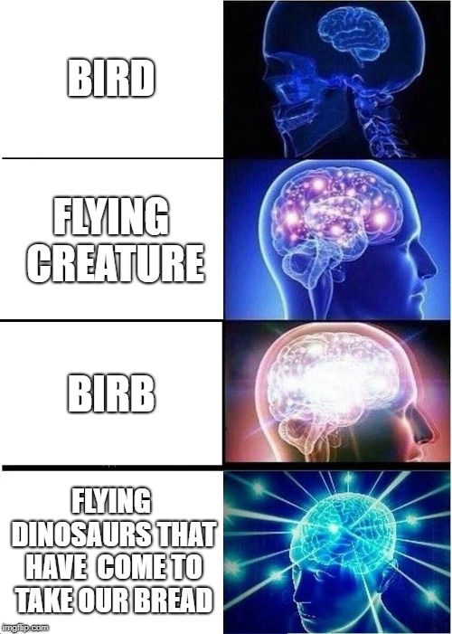 Expanding Brain | BIRD; FLYING CREATURE; BIRB; FLYING DINOSAURS THAT HAVE  COME TO TAKE OUR BREAD | image tagged in memes,expanding brain | made w/ Imgflip meme maker