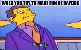 skinner pathetic | WHEN YOU TRY TO MAKE FUN OF RAYDOG | image tagged in skinner pathetic | made w/ Imgflip meme maker