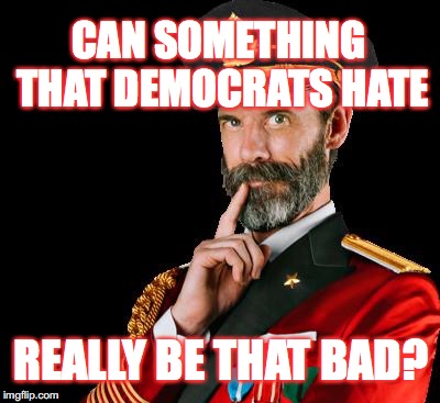 I don't think so! ;) | CAN SOMETHING THAT DEMOCRATS HATE; REALLY BE THAT BAD? | image tagged in captain obvious,democrats,haters,memes | made w/ Imgflip meme maker