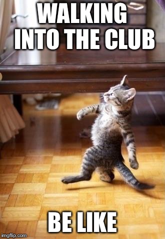 Cool Cat Stroll Meme | WALKING INTO THE CLUB; BE LIKE | image tagged in memes,cool cat stroll | made w/ Imgflip meme maker