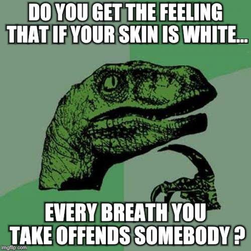 Philosoraptor | DO YOU GET THE FEELING THAT IF YOUR SKIN IS WHITE... EVERY BREATH YOU TAKE OFFENDS SOMEBODY ? | image tagged in memes,philosoraptor | made w/ Imgflip meme maker