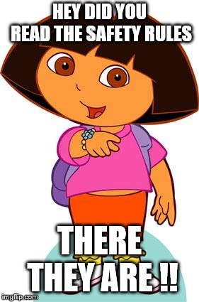 Dora | HEY DID YOU READ THE SAFETY RULES; THERE THEY ARE !! | image tagged in dora | made w/ Imgflip meme maker