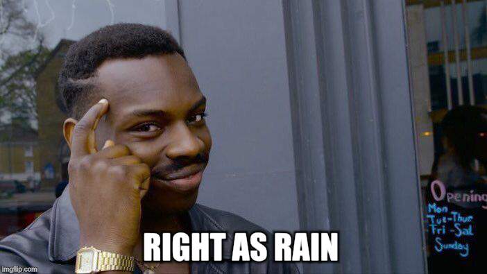Roll Safe Think About It Meme | RIGHT AS RAIN | image tagged in memes,roll safe think about it | made w/ Imgflip meme maker
