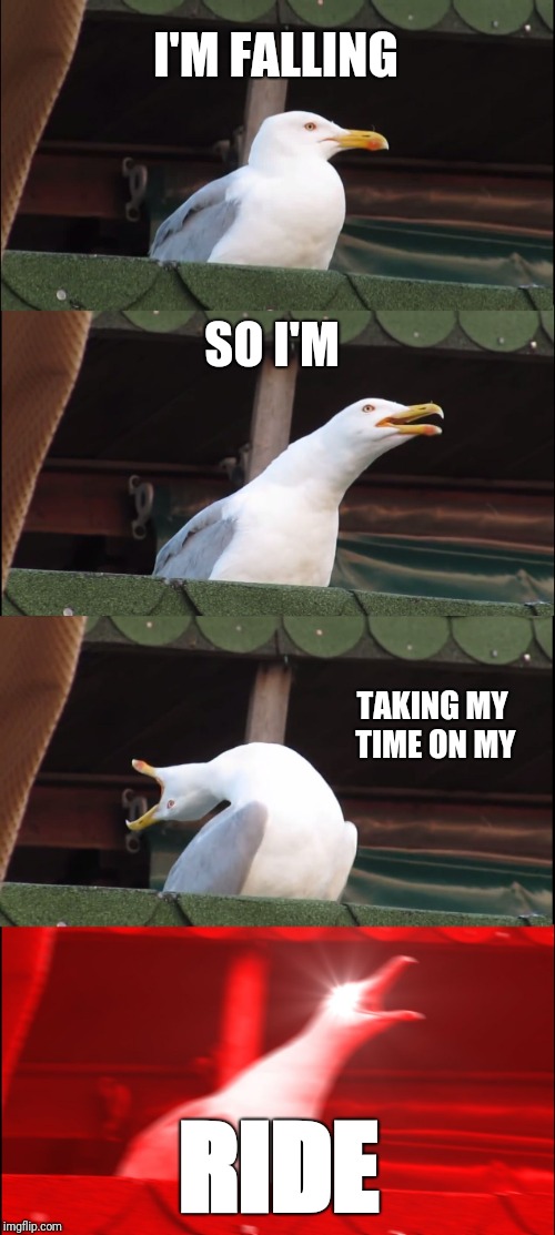 Inhaling Seagull Meme | I'M FALLING; SO I'M; TAKING MY TIME ON MY; RIDE | image tagged in memes,inhaling seagull | made w/ Imgflip meme maker