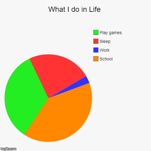 What I do in Life | School, Work, Sleep, Play games | image tagged in funny,pie charts | made w/ Imgflip chart maker