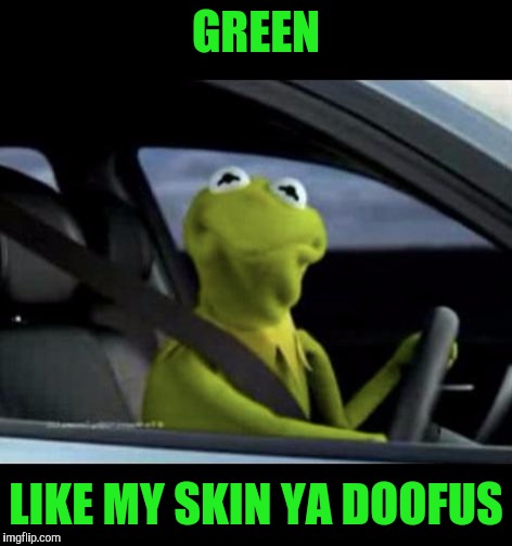 Kermit Driving | GREEN LIKE MY SKIN YA DOOFUS | image tagged in kermit driving | made w/ Imgflip meme maker