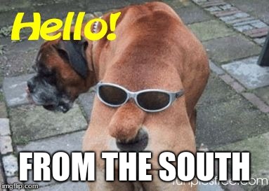 FROM THE SOUTH | image tagged in dog rear | made w/ Imgflip meme maker